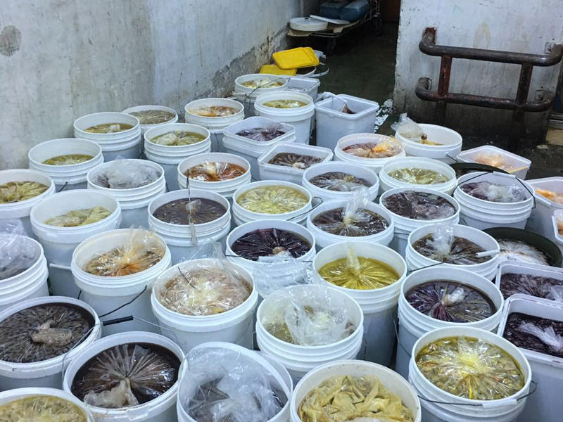 جانب من اتلاف المواد الغذائية منتهية الصلاحية