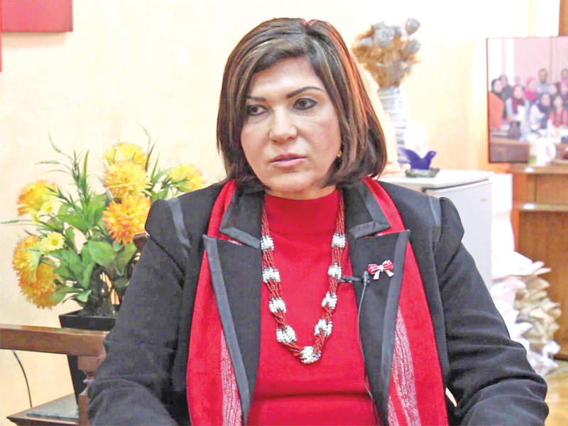  رئيسة اللجنة الإعلامية بالمجلس القومي للمرأة سوزان قليني