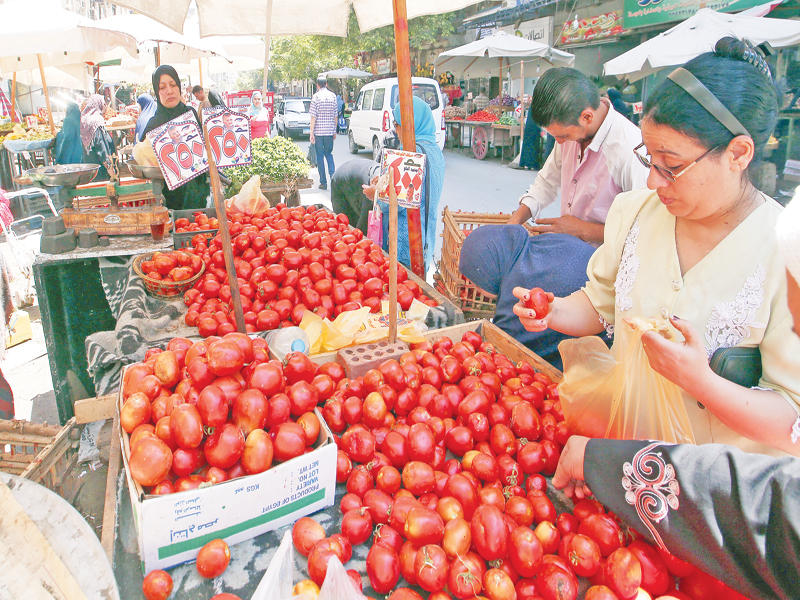 مصرية تشتري الطماطم من سوق الخضراوات في القاهرة أمس (إي بي أيه)