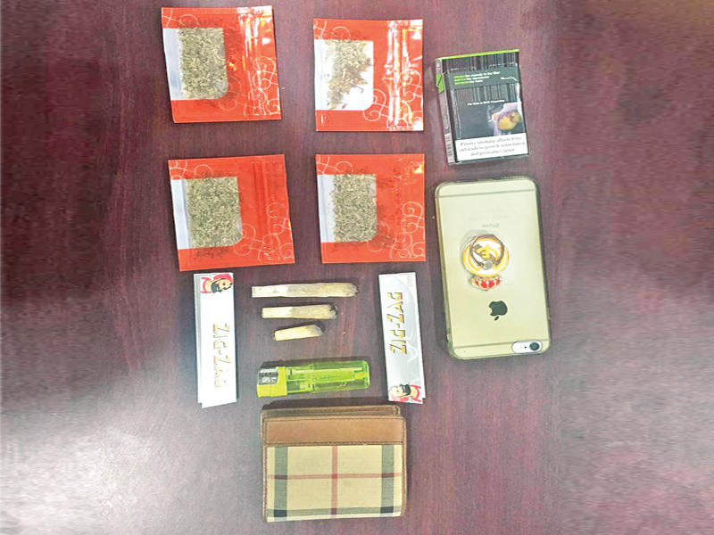 جانب من المواد المخدرة المضبوطة خلال الحملة