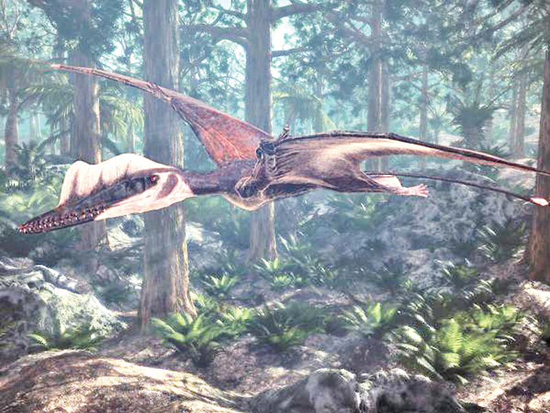 مشهد من فيلم «الوحوش الطائرة»