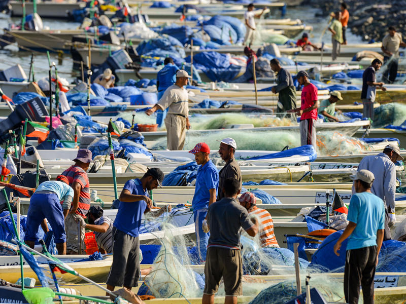 صيادو الأسماك في نقعة الشملان
