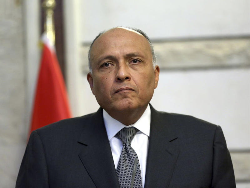 وزير الخارجية المصري سامح شكري