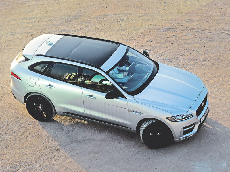 (تصوير رائد قطينة)