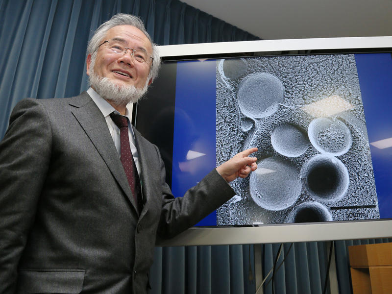 الياباني يوشينوري اوسومي