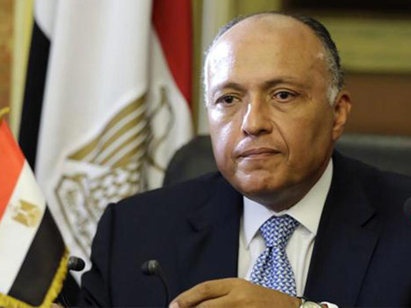 وزير الخارجية سامح شكري