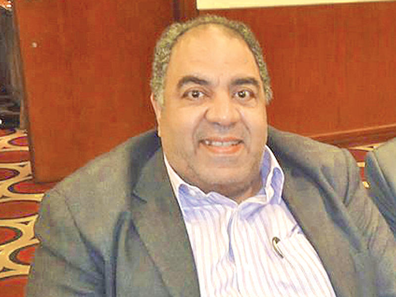  الخبير الاقتصادي إلهامي الميرغني 