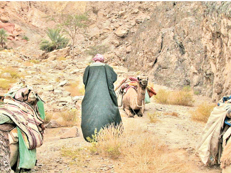 فيلم السترة الثقيلة