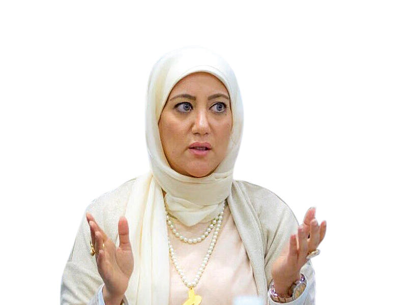 مراقبة المتابعة والتنسيق في مكتب وزير التجارة والصناعة ومدير إدارة النافذة الواحدة عدوية الفيلكاوي