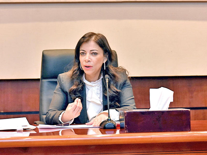 وزيرة الاستثمار في مصر داليا خورشيد