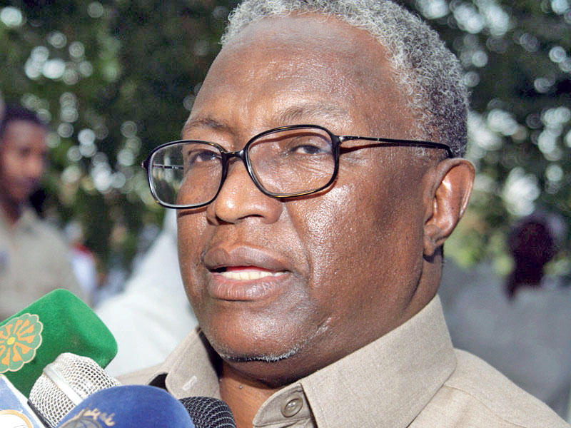  نائب الرئيس السوداني حسبو عبدالرحمن