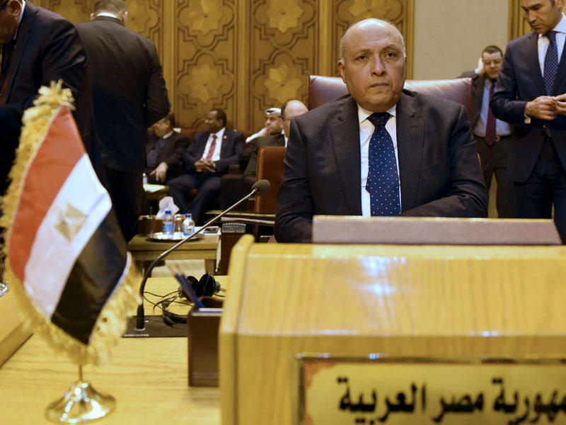 وزير الخارجية المصري سامح شكري