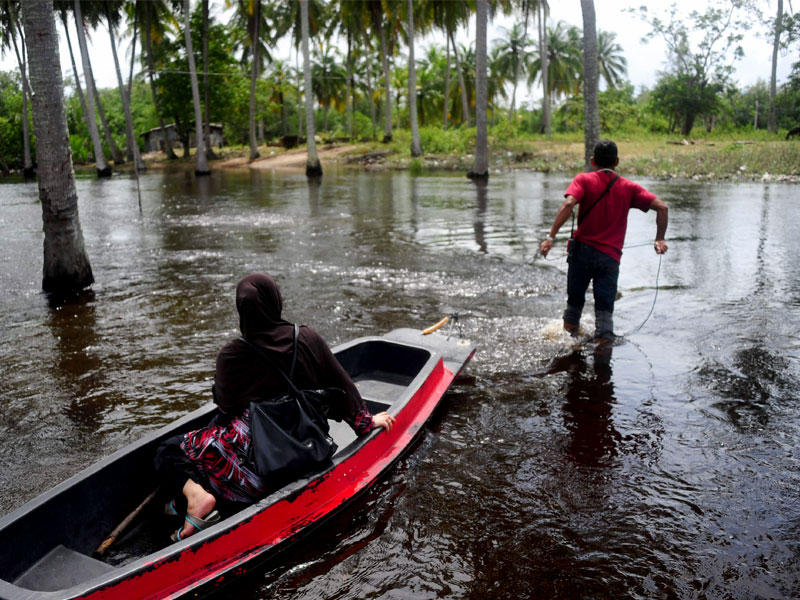 ضحايا كارثة أمواج (تسونامي)