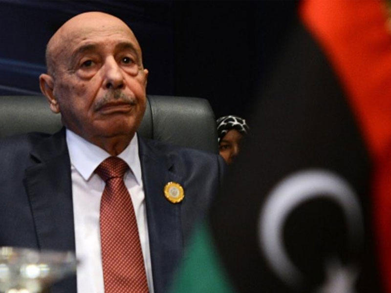 رئيس مجلس النواب الليبي، عقيلة صالح