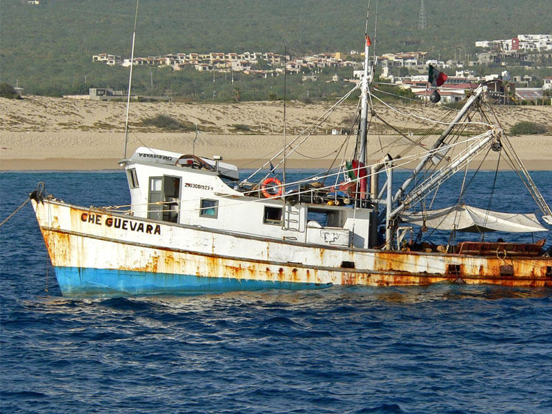 الصيادين المصريين في اليمن 