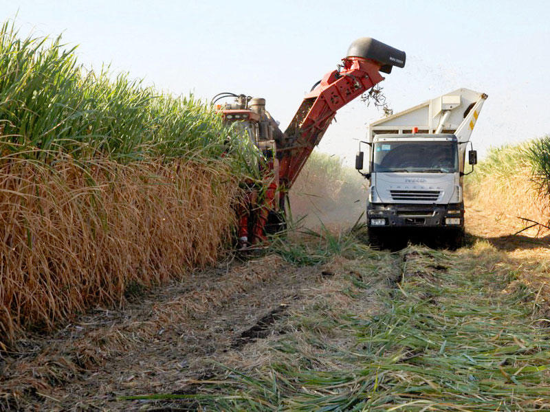 جانب من الاستثمارات الكويتية في السودانn