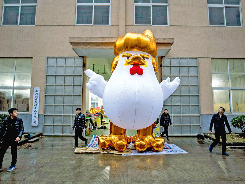 راجت مبيعات دمى قابلة للنفخ لدجاجة صممت على شكل وجه ترامب بمناسبة حلول سنة الديك في الصين لدرجة أن أحد المصانع ضاعف الكميات المنتجة منها مع اقتراب رأس السنة، وفي الصورة دمية وضعت الخميس الماضي أمام مصنع في مدينة جياشينغ (أ ف ب)