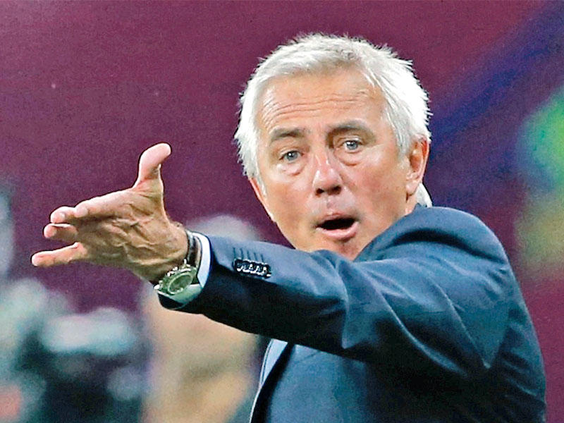 بيرت فان مارفيك