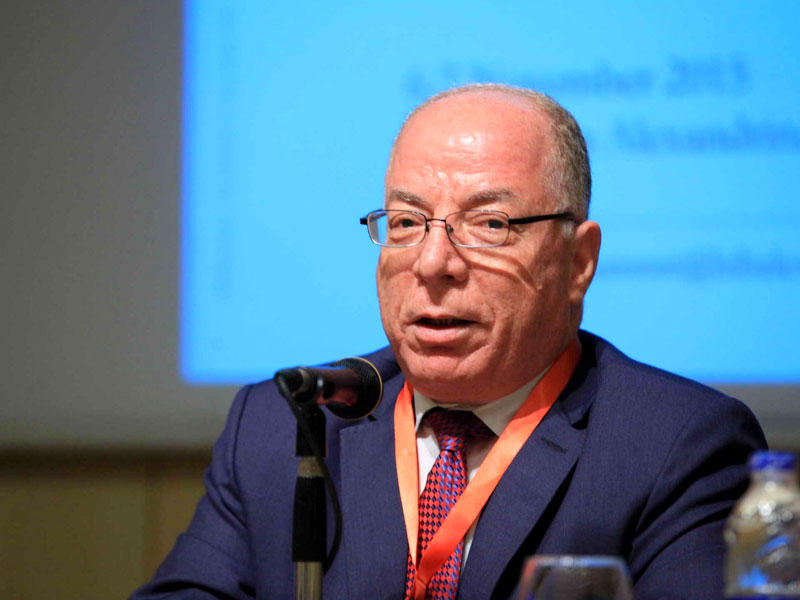 حلمي النمنم