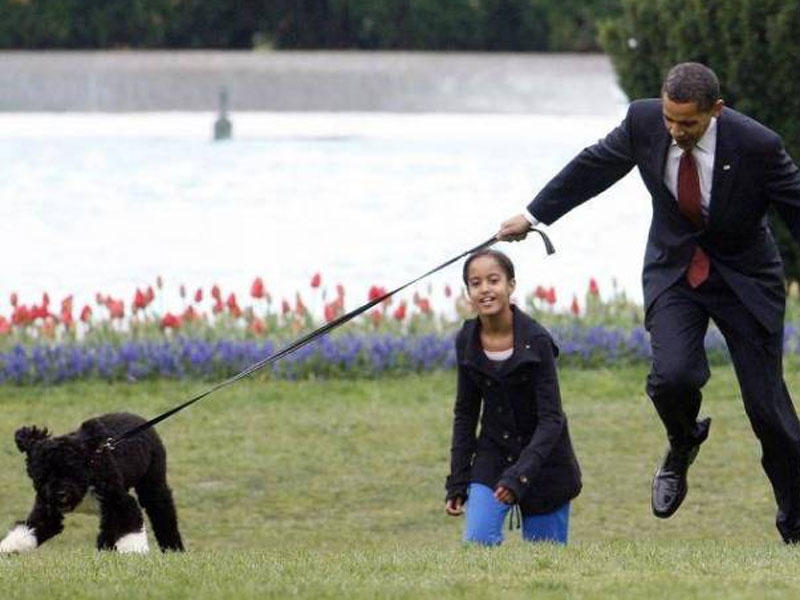 ارشيفية ( كلبة عائلة أوباما )