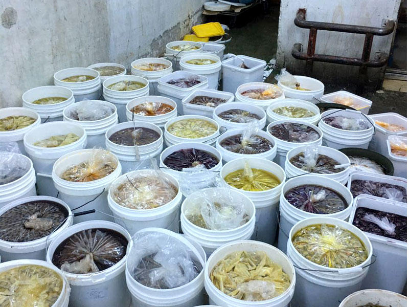 المواد الغذائية الفاسدة 