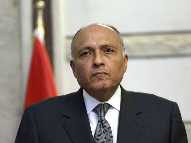  وزير الخارجية المصرية سامح شكري