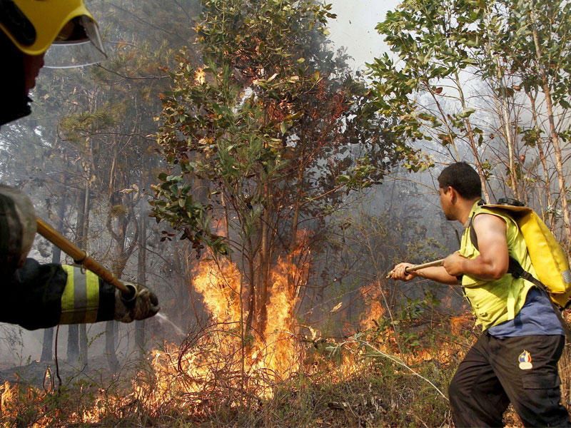 حرائق الغابات وسط تشيلي الجنوبي