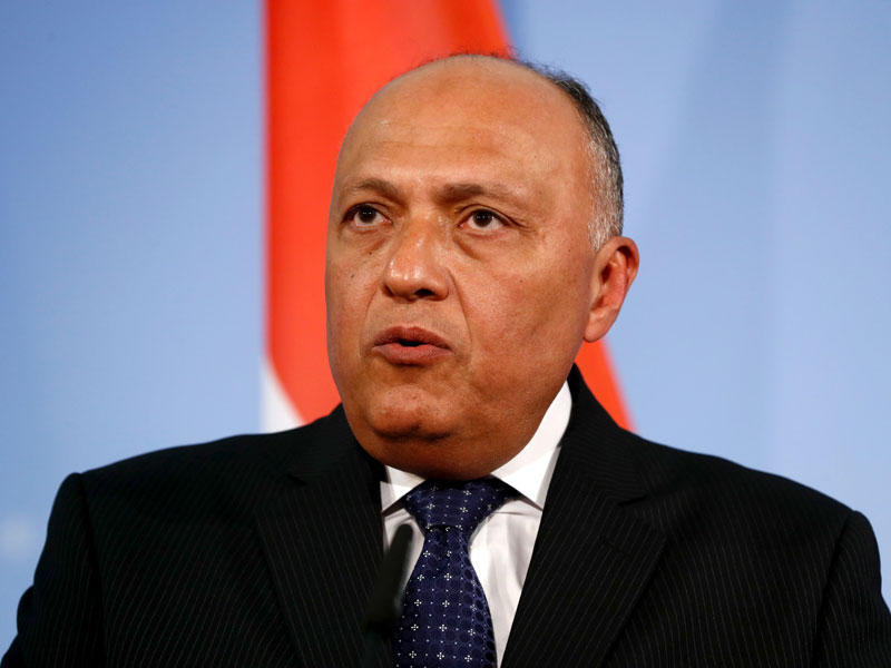 وزير الخارجية المصري سامح شكري