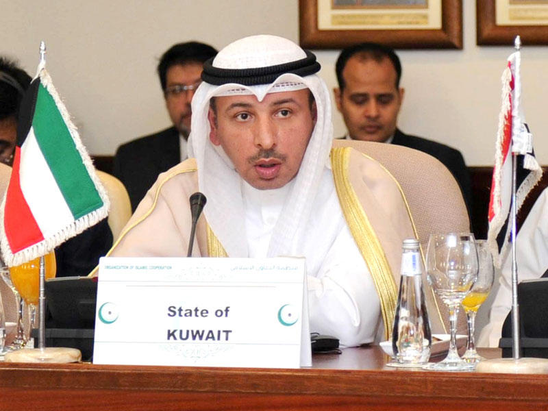 نائب مساعد وزير الخارجية لشؤون المنظمات الدولية الوزير المفوض ناصر الهين