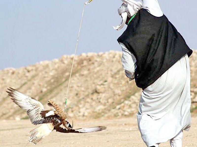 جانب من منافسات نهائي مسابقة الملواحn