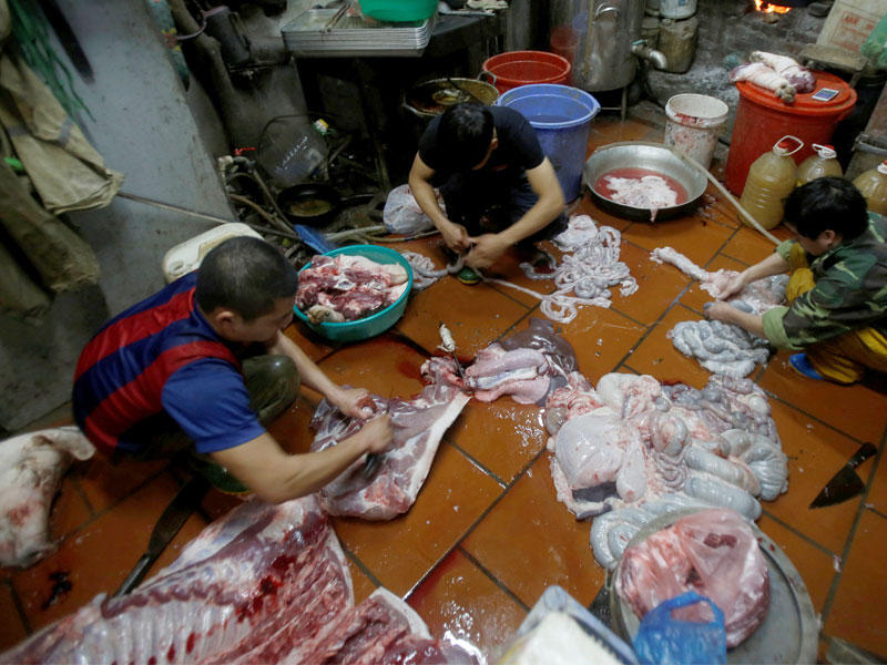  مهرجان ذبح الخنازير في فيتنام