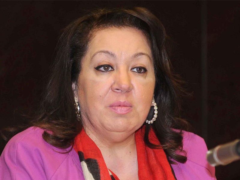 نائبة المدير العام لقطاع المشروعات الوطنية بالجهاز ماجدة النقيب