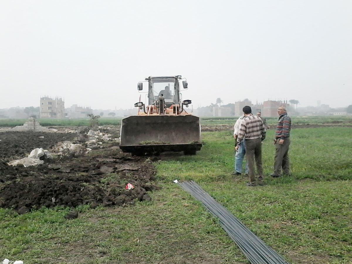  الأراضي الزراعية المصرية  ( صورة - أرشيفية )