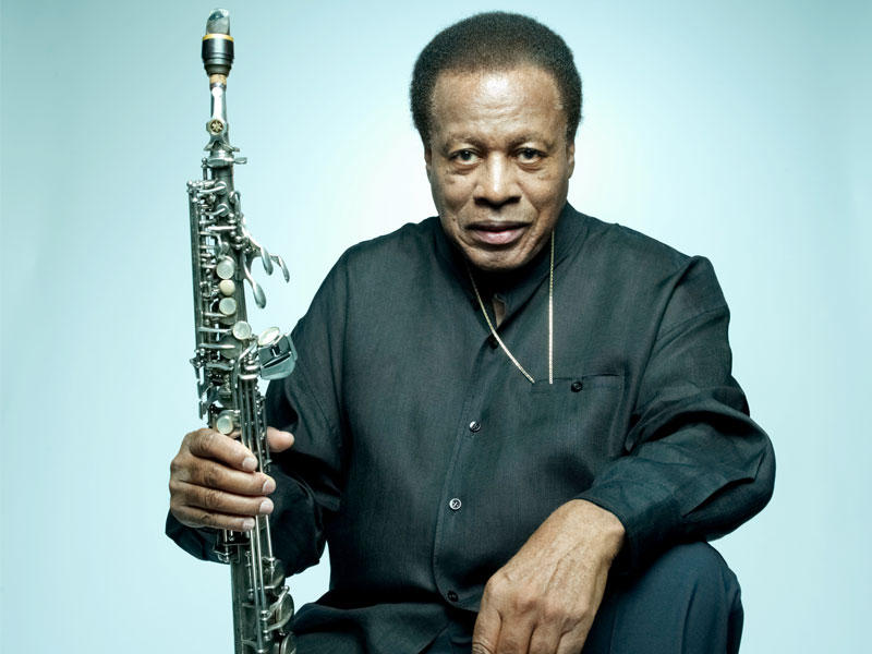 نجم الجاز الأميركي وعازف الساكسفون، واين شورتر
