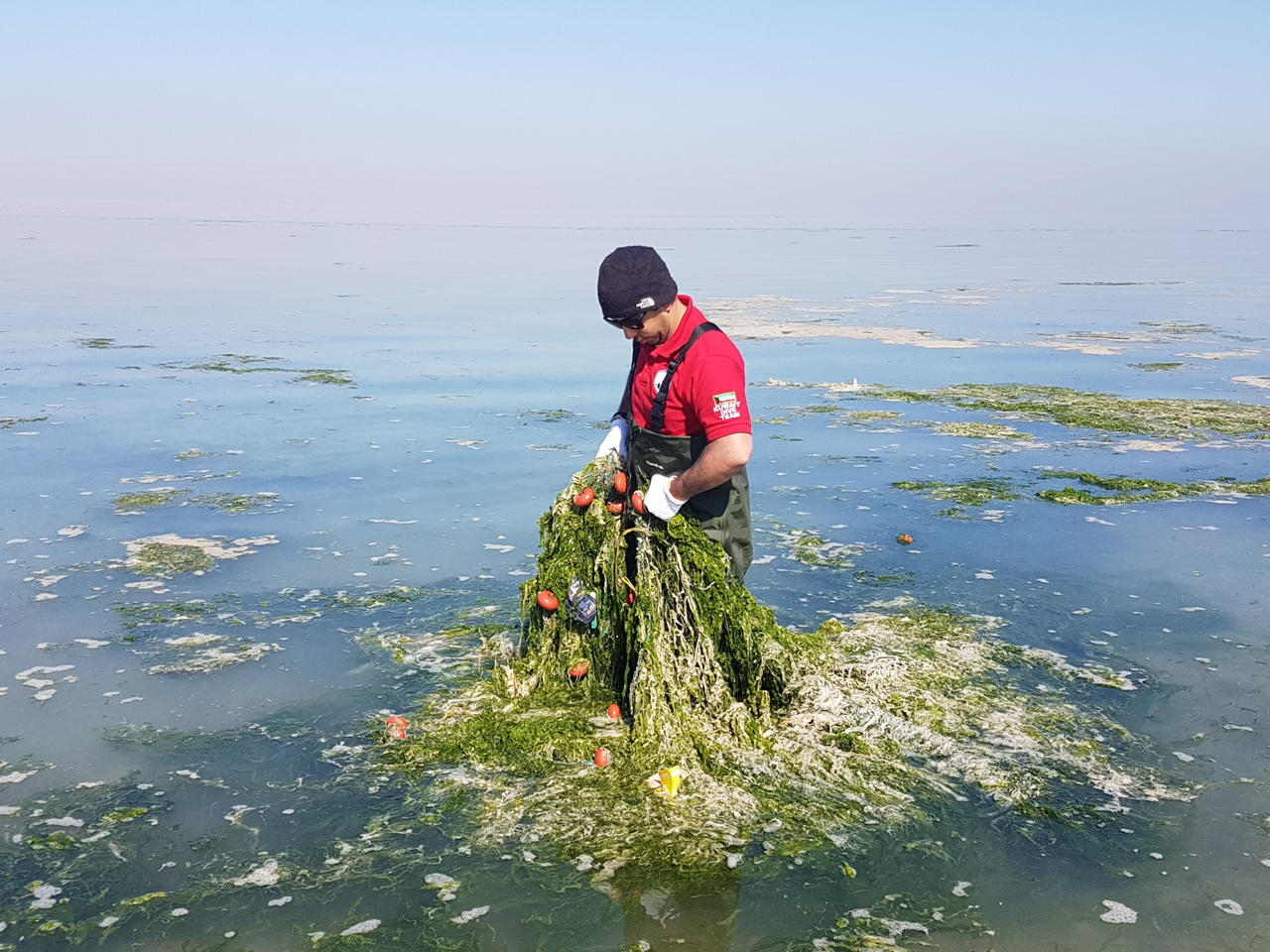 فريق الغوص الكويتي أثناء رفع شباك صيد مهملة عالقة في القاع الجنوبي لجون الكويت قرب محمية جزيرة (أم النمل) 