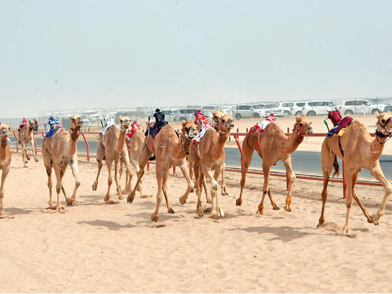 جانب من منافسات اليوم الثالث