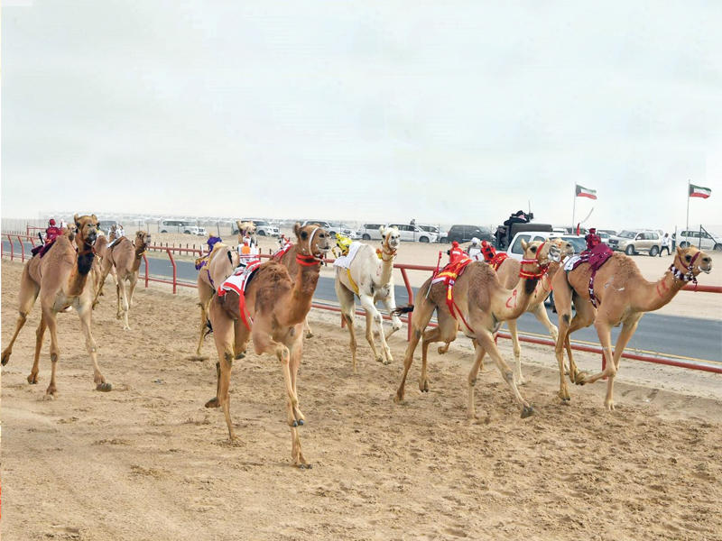 جانب من منافسات البطولة 