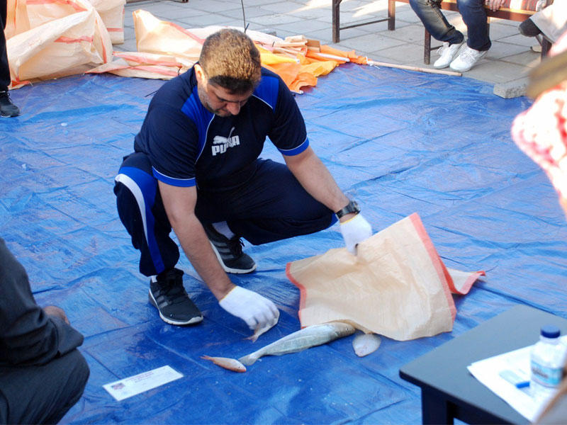 جانب من مسابقة صيد الاسماك (الحداق) ضمن مهرجان الموروث الشعبي الخليجي 