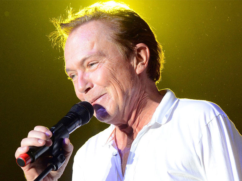 ديفيد كاسيدي