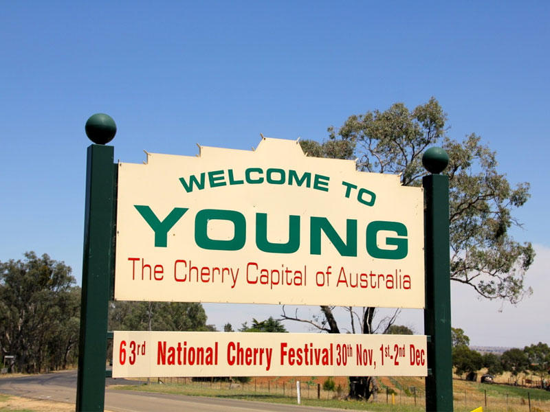  بلدة يونغ  جنوب غرب سيدني