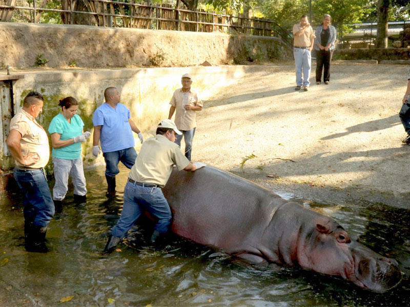 حديقة حيوان بالسلفادور