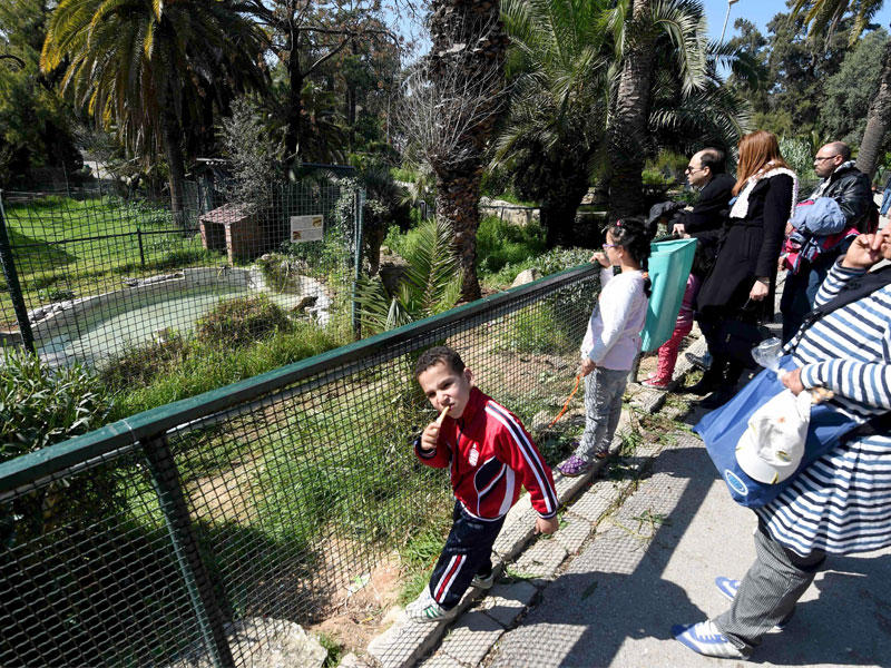 زوار حديقة الحيوان في تونس 