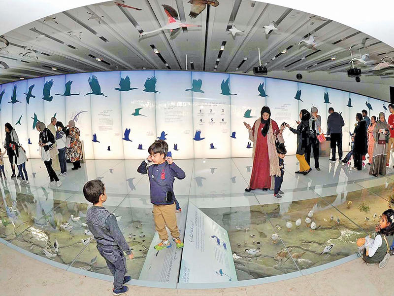 جانب من معروضات متحف الموطن