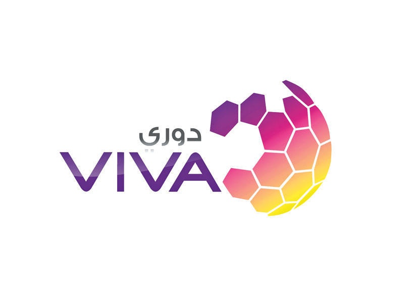 دوري ڤيڤا لكرة القدم