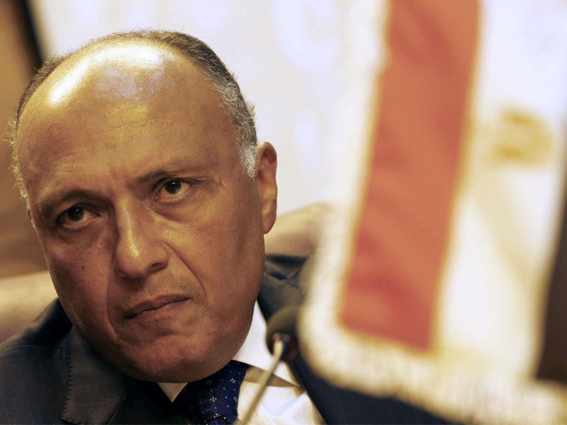 وزير الخارجية المصري سامح شكري