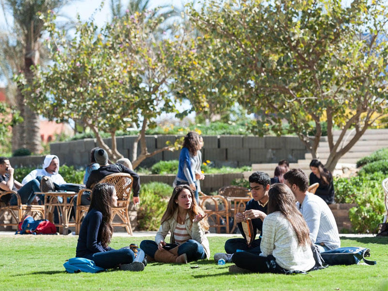 الجامعة الأميريكية في مصر