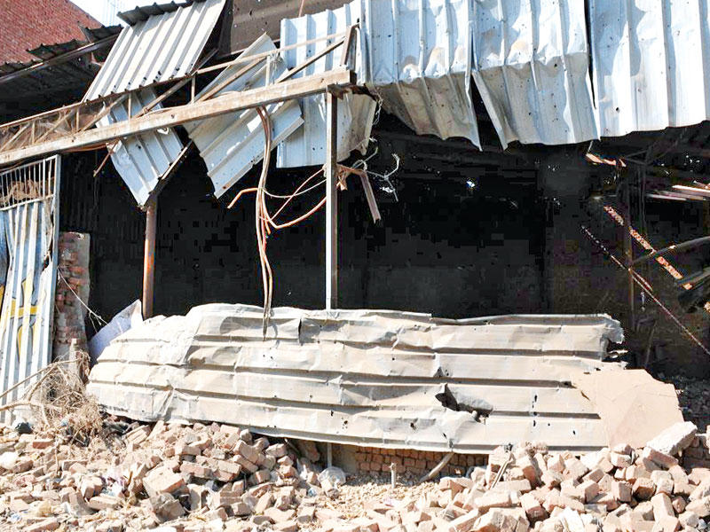 مزرعة بلبيس