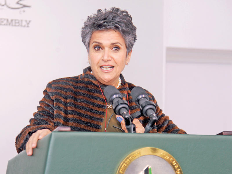 صفاء الهاشم