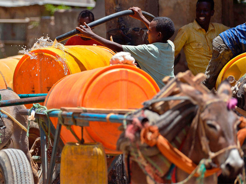 طفل صغير يملأ بالماء طبل محمل على عربة حمار