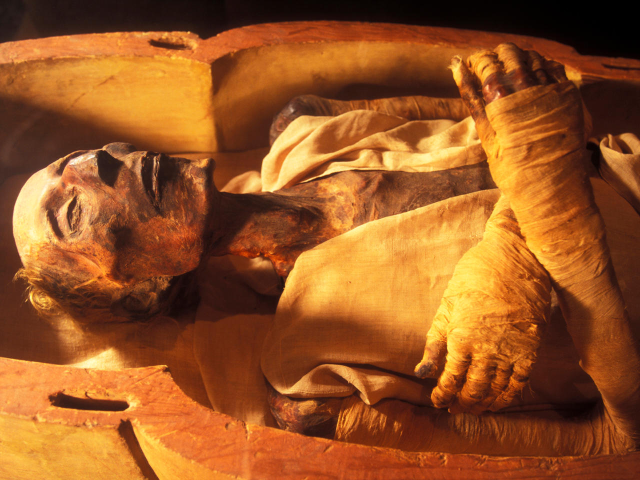 رمسيس الثاني